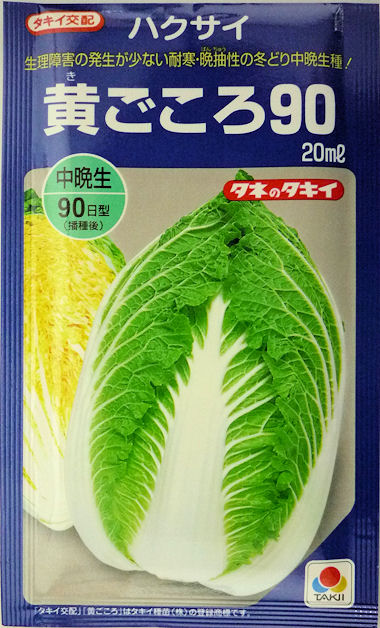 楽天市場】白菜 【タキイ交配 黄ごころ75日白菜(お徳用パック