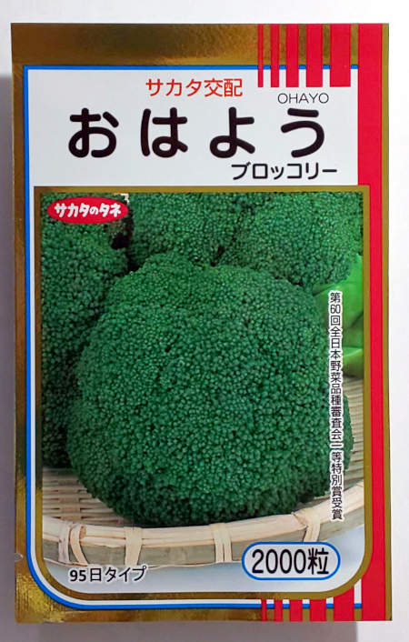 トミページです！スティックセニョール10ｋｇ！ 楽天市場】【サカタのタネ】茎ブロッコリー スティック