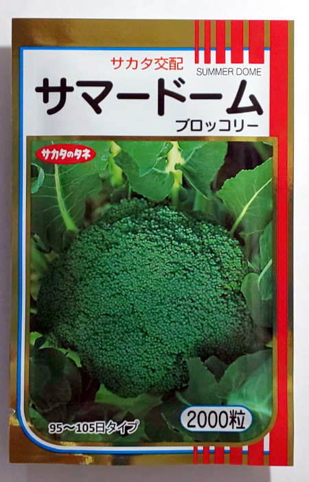 楽天市場】 SK9-099 ブロッコリー種子 【野菜種子】【サカタ交配
