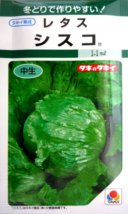 楽天市場】レタス 種 シスコ タキイ 種苗 家庭菜園 プロ向け 大袋 小袋