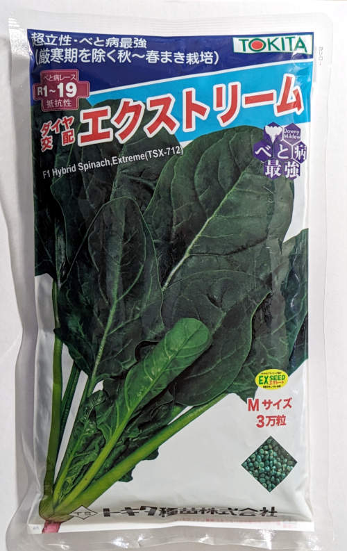【トキタ種苗】 エクストリームほうれん草　Ｍ　30000粒