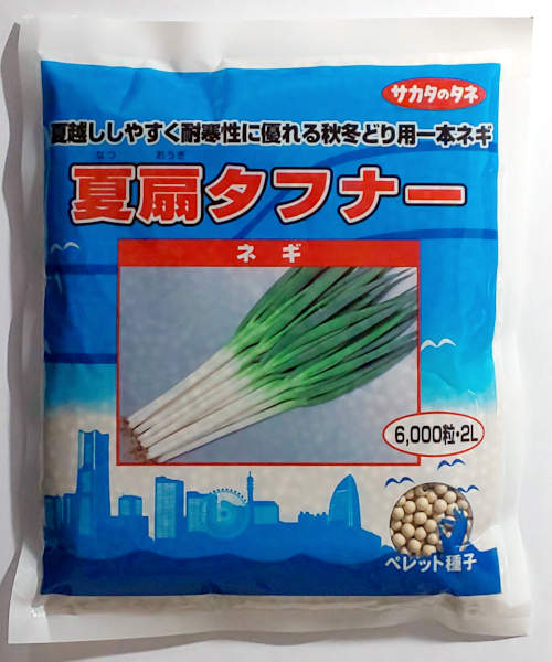 楽天市場】【サカタのタネ】夏扇４号一本ネギ コート6000粒 : 船木種苗店