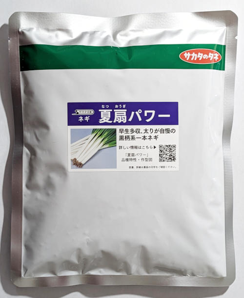 楽天市場】【サカタのタネ】初夏扇2号ネギ コート6000粒 : 船木