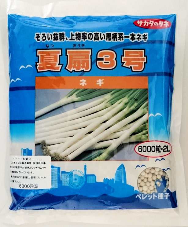ネギ　冬扇シオン　6000粒　3袋　有効期限９月 ネギ 冬扇シオン 6000粒 3袋 有効期限9月