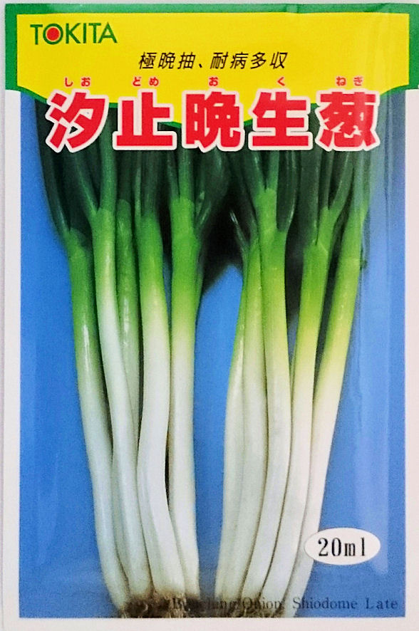 楽天市場】ねぎ 汐止晩生葱（裸種子） 2dl トキタ種苗(株) [種子/野菜