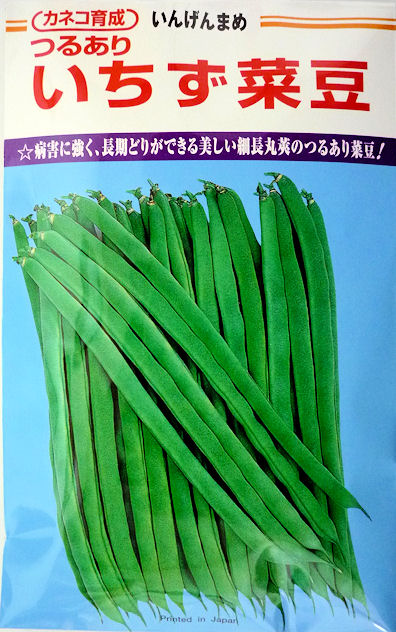 楽天市場】【カネコ種苗】湯あがり娘枝豆 2000粒 : 船木種苗店