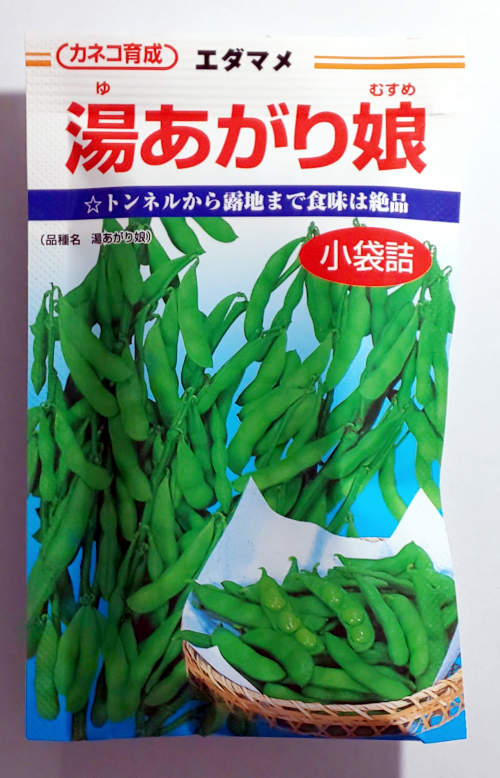 楽天市場】【カネコ種苗】湯あがり娘枝豆 2000粒 : 船木種苗店
