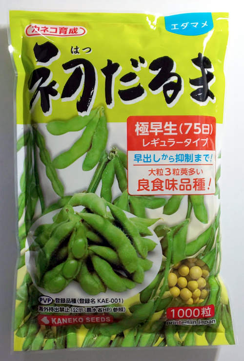 楽天市場】【カネコ種苗】湯あがり娘枝豆 2000粒 : 船木種苗店
