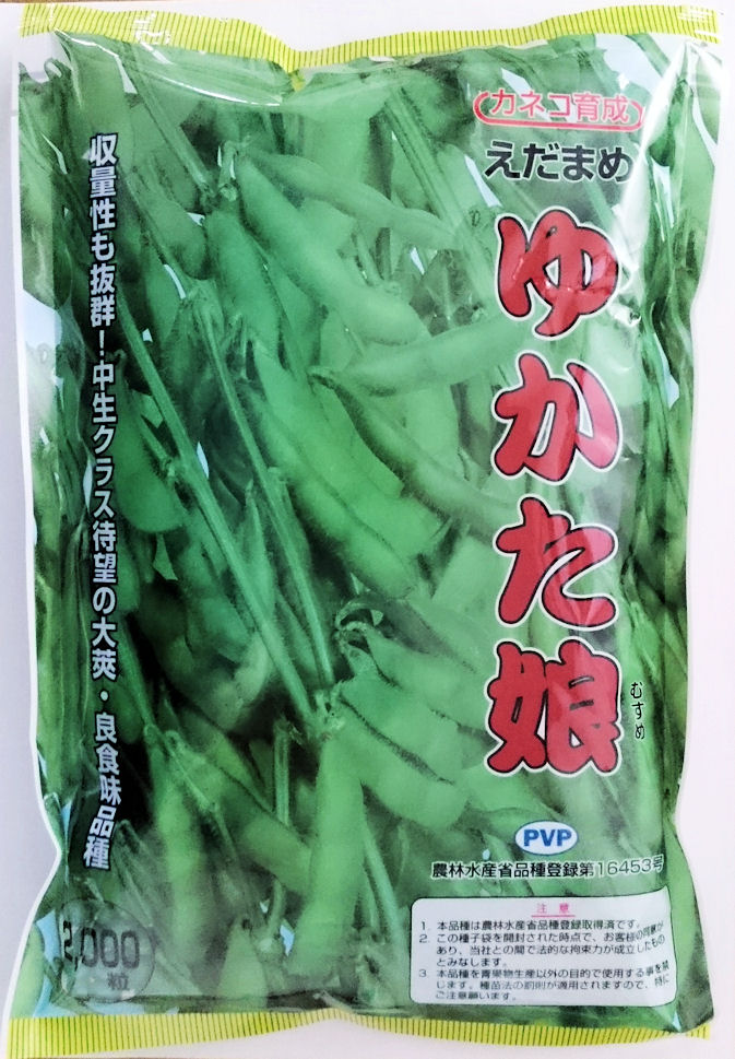楽天市場】【カネコ種苗】湯あがり娘枝豆 2000粒 : 船木種苗店