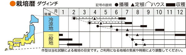 ダ ヴィンチ Lコート2500粒