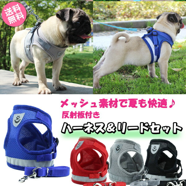 楽天市場】犬 ハーネス 安全 帯 リード セット ペット 猫 用品 グッズ おしゃれ ドッグ 小型 中型 大型 可愛い お散歩 簡単脱着式 軽量 迷彩柄 ペット用 : ファンコマ 楽天市場店 楽天市場】犬 ハーネス 安全 帯 リード セット ペット 猫 用品 グッズ おしゃれ ドッグ 小型 中型 大型 可愛い お散歩 簡単脱着式 軽量 迷彩柄 ペット用 : ファンコマ 楽天市場店