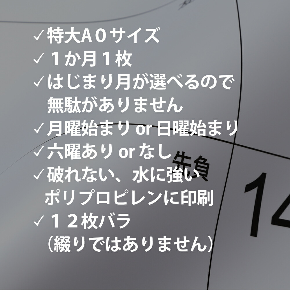 開始月を選べる大判 A0サイズ シンプル 大型カレンダー 1年分 インテリア オフィス 工場 店舗に 21 22 Educaps Com Br