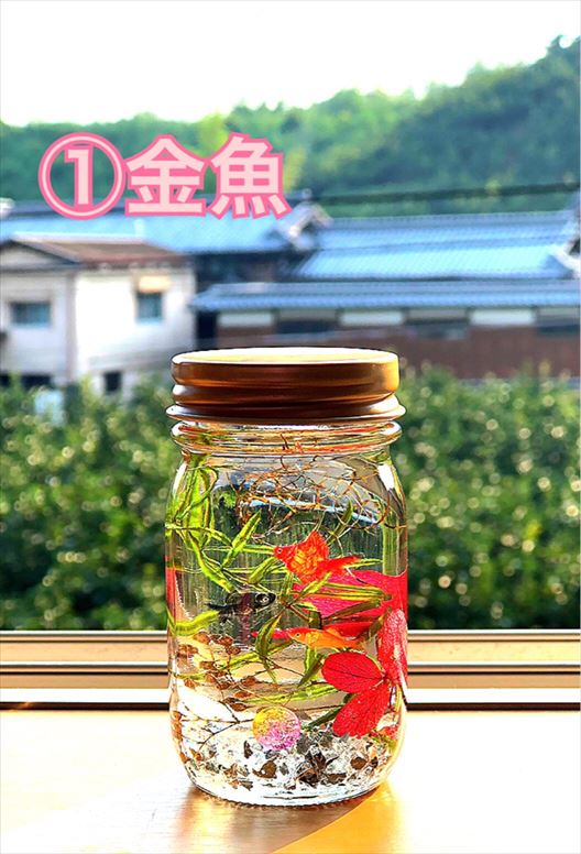 楽天市場 父の日 ギフト アクアリウム 熱帯魚 ハーバリウム 手作りキット 魚 さかなリウム よもぎ蒸しグッズ専門店 バンビ