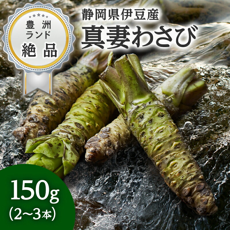 真妻わさび 静岡県産 本わさび 約150g 2～3本 生わさび 生山葵 山葵 生ワサビ ワサビ ギフト 贈答 家庭用 豊洲 お歳暮 お取り寄せグルメ