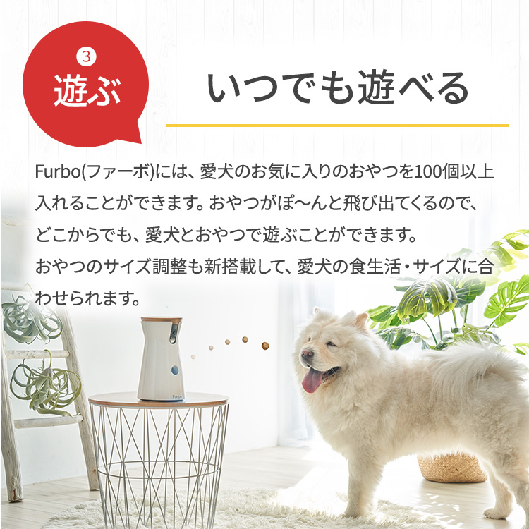 新型】Furboドッグカメラ - 360°ビュー[ファーボ] - AI搭載 wifi