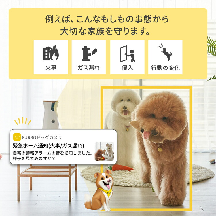 【楽天市場】Furbo ドッグカメラ [ファーボ] - AI搭載 wifi ペットカメラ ペット 見守りカメラ カメラ 犬 留守番 飛び出す