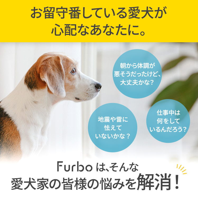 楽天市場 Furbo ドッグカメラ ファーボ Ai搭載 Wifi ペットカメラ ペット 見守りカメラ カメラ 犬 留守番 飛び出すおやつ おやつ 双方向会話 スマホ Iphone Android 対応 アカウント共有 写真 動画 Furbo公式ストア