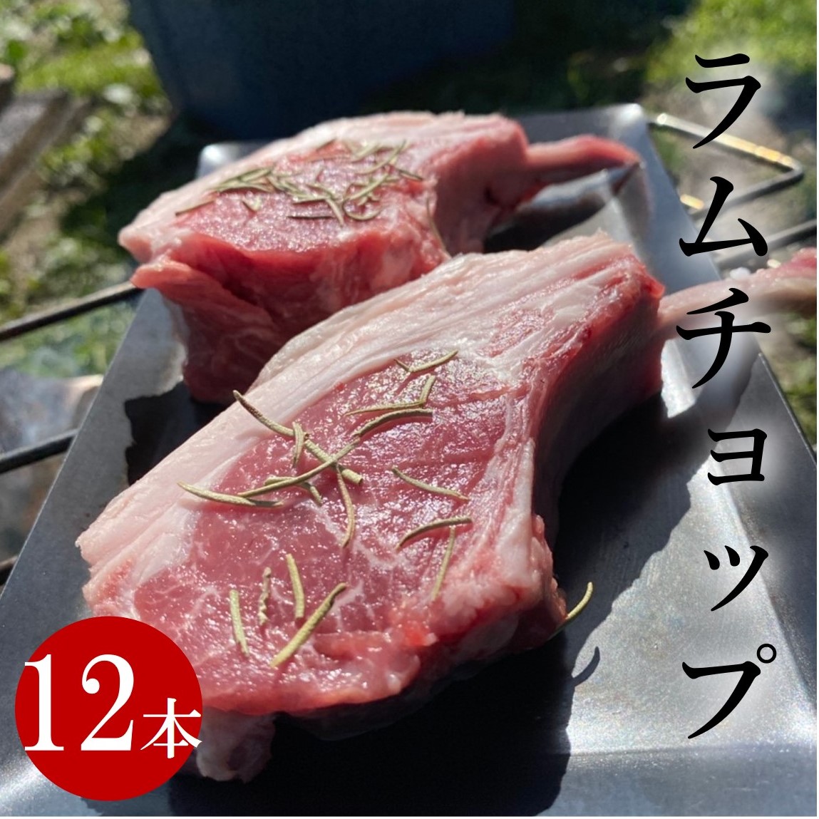 12本 600g ラムチョップ ラム肉 肉 子羊 ラム ニュージランド キャンプ BBQ 焼肉 ホームパーティーにお勧め！骨付き肉　骨付き グルメ お取り寄せ 業務用 大容量 お得 まとめ買い