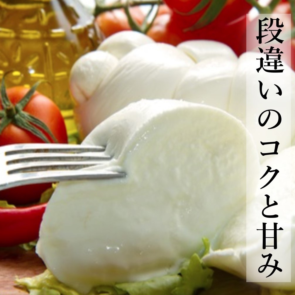 モッツアレラ モッツァレラ チーズ ブッファラ 100g レオーネ I Q F 水牛 ヴァッカ ソル 冷凍 ソルレオーネ