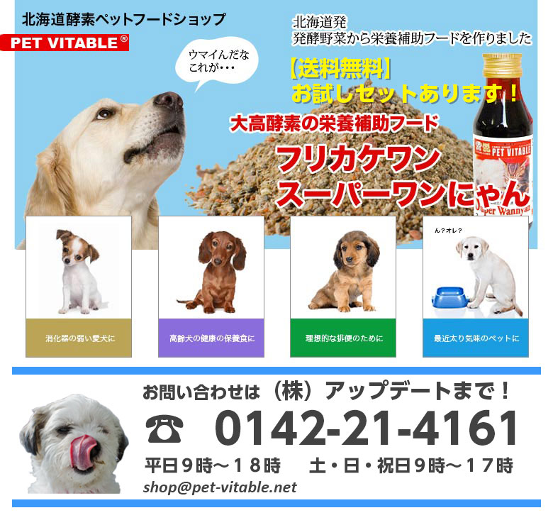 楽天市場 猫用 犬用 犬 猫 酵素 サプリ スーパーワンにゃん 大高酵素 初回限定 100mlx2本 犬用 猫用 酵素サプリ 腸内環境改善 サプリメント 便秘や下痢改善に 皮膚炎 アレルギー 高齢犬やシニア犬 シニア猫 ポイント10倍 ドッグード キャットフード シニア犬 老猫
