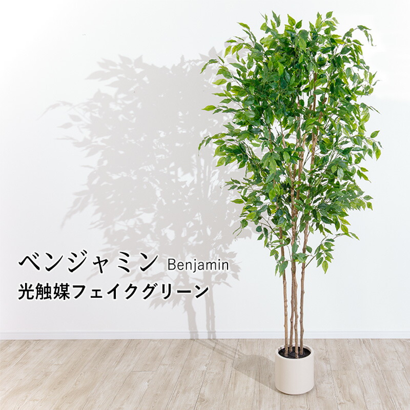 ベンジャミン フェイクグリーン 光触媒フェイクグリーン 観葉植物 造花 人工観葉植物 リアル 水やり不要 枯れない 本物そっくり 光触媒 大型 おしゃれ ナチュラル お祝い 開店祝い オフィス 店舗 インテリア リビング 玄関