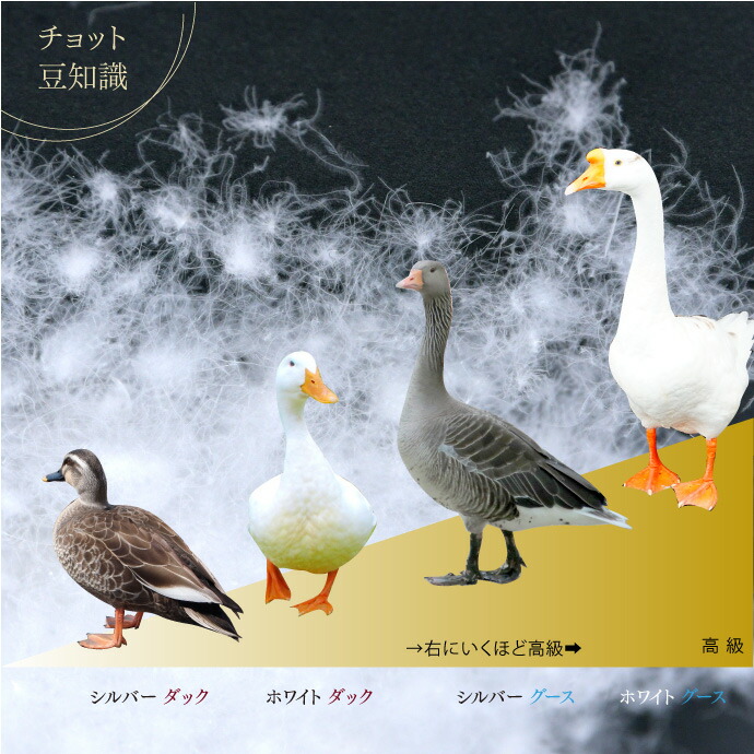 送料無料カード決済可能 羽毛布団 2枚合せ クイーン 約210×210cm