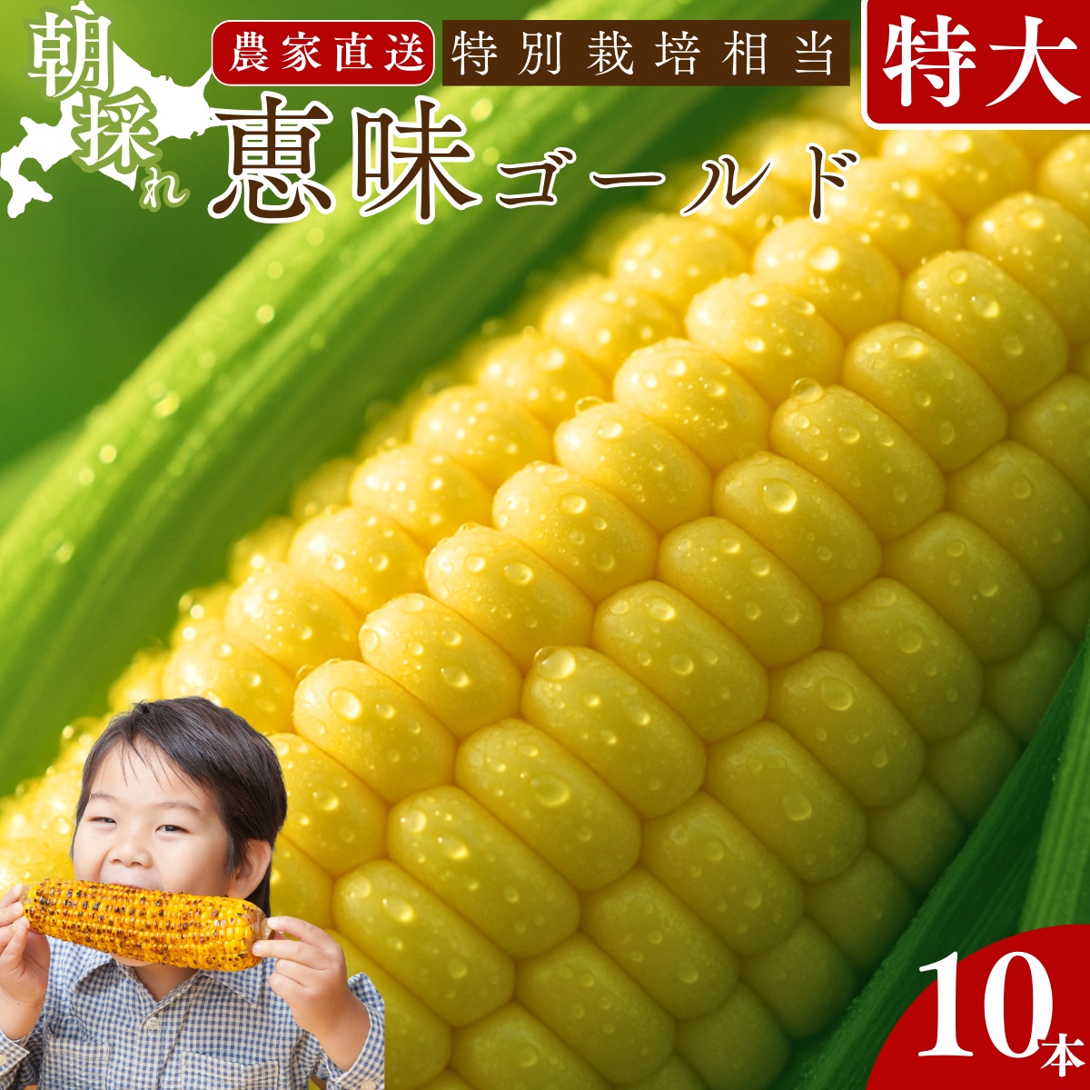 【数量限定100個】 とうもろこし 北海道産 特別栽培相当 恵味ゴールド 10本 4kg 以上 1個あたり400g以上 安芸農園 スイートコーン 農家厳選 旬 道産 北海道 余市 国産 農家直送 野菜ソムリエ 生きている野菜 少量生産 数量限定 送料無料