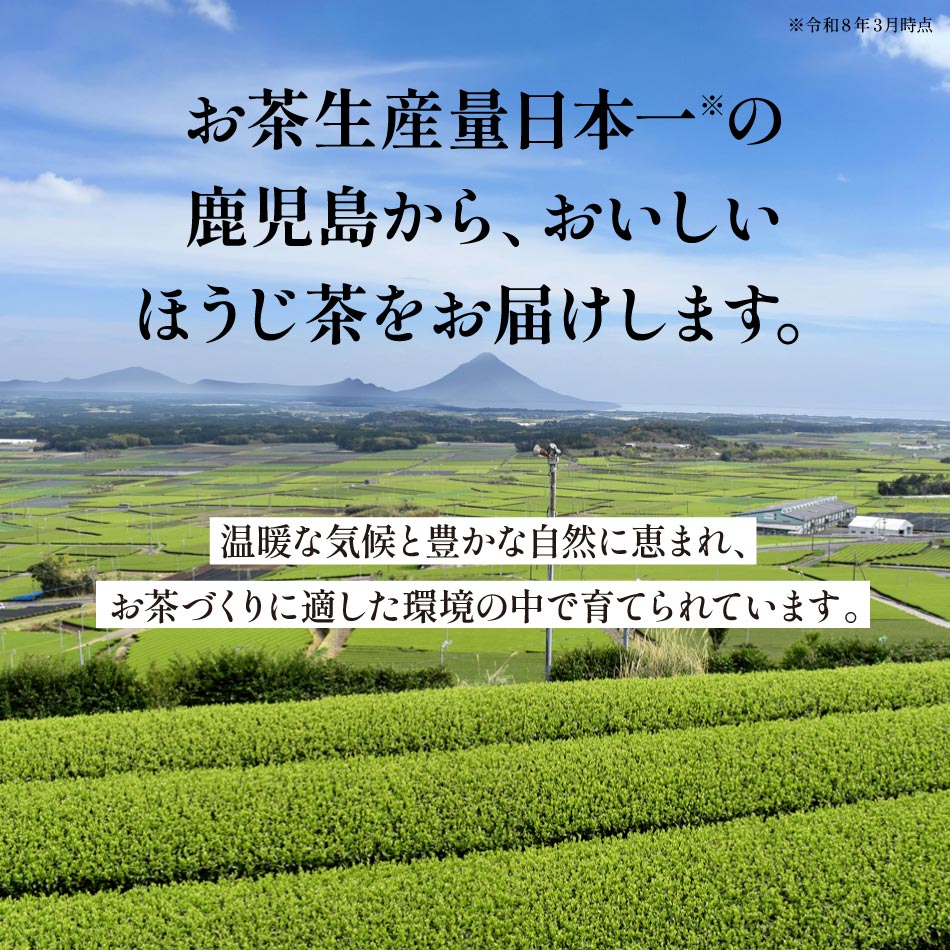 鹿児島ほうじ茶