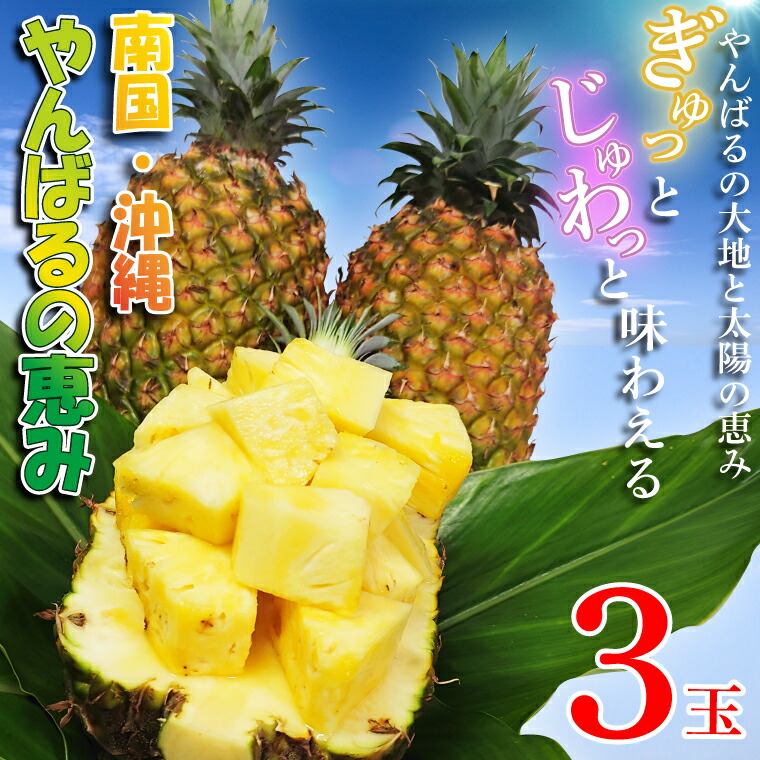 楽天市場】【送料無料】沖縄県産 ゴールドバレル 2玉 約3.5kg
