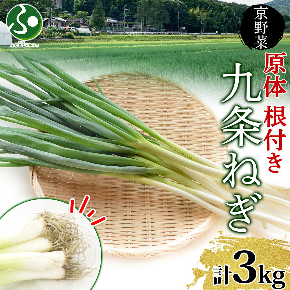 楽天市場】【本場京野菜】京都産*厳選**九条ねぎ*約1kg京やさい*ネギ