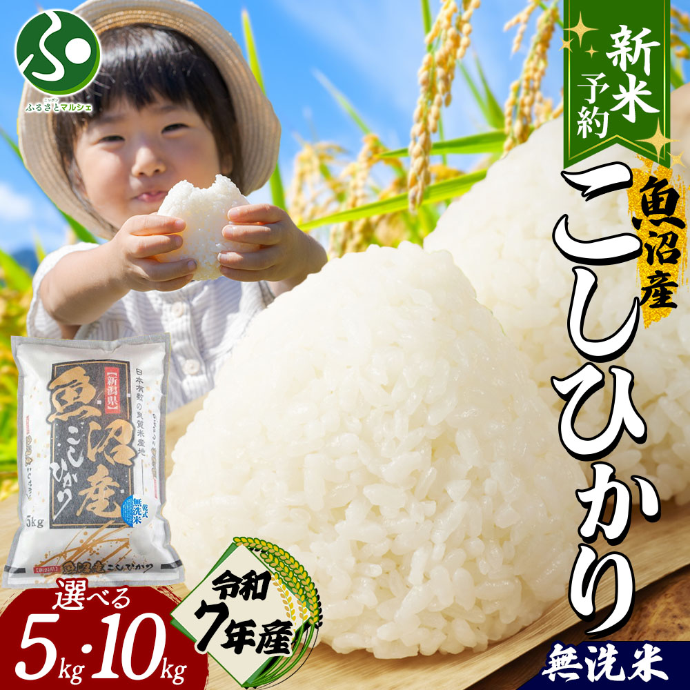 雄*一様 【新米】令和6年 新潟県 魚沼産コシヒカリ 10kg 新米】令和6年産 魚沼産コシヒカリ 10kg 農家のお米