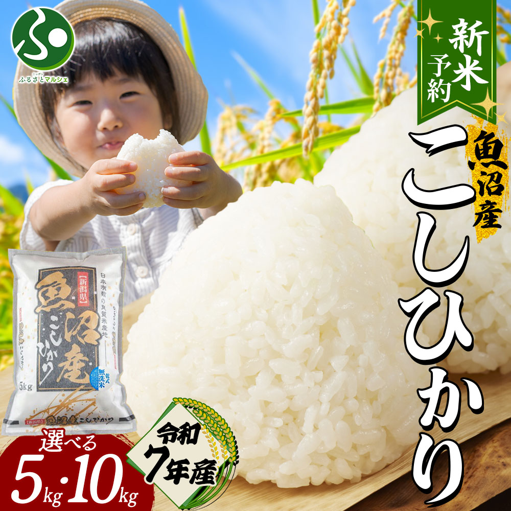 うみ 無農薬コシヒカリ5分づき10kg、玄米10kg 令和4年 徳島県産 tawaraya-kome_siga-munouyaku5