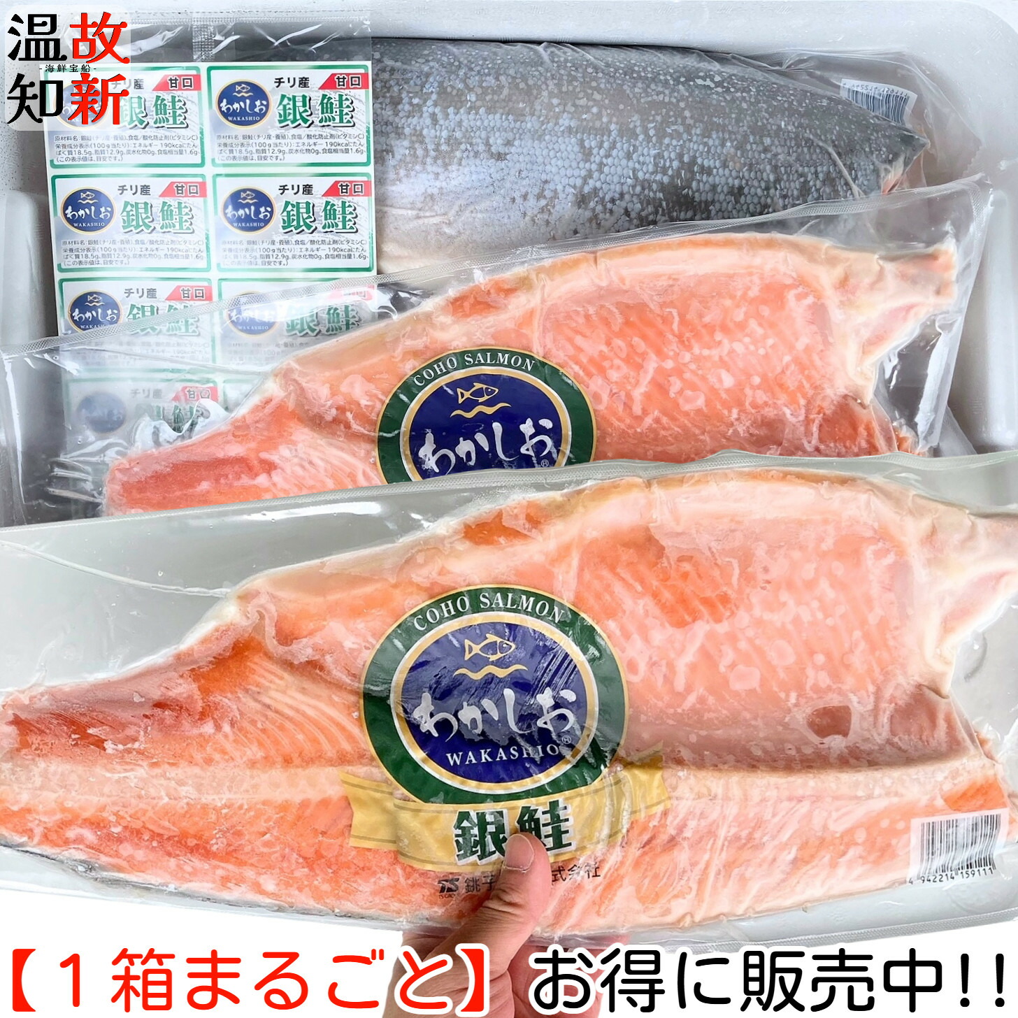 チリ産 定塩銀鮭フィーレ 8kg=6枚(1枚平均=約1.3kg) わかしお 送料無料 銀鮭 鮭 しゃけ フィーレ フィレー 半身 片身 まとめ買い まとめ売り 箱買い 箱売り おかず お弁当 ご飯のお供 ご飯にあう おつまみ 酒の肴 酒のあて 晩酌のお供 【冷凍商品】