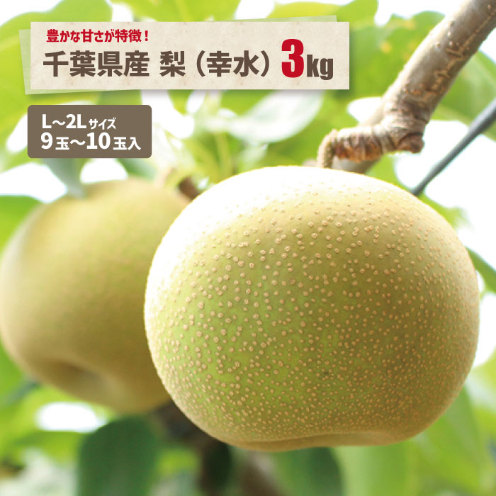 【先行予約】 幸水梨 1箱 5kg入り (8~12玉) 樹上完熟!濃厚な甘さに手が止まらない!甘~いゆみたかの幸水梨 【2026年8月中旬以降 ... 【先行予約】 幸水梨 1箱 5kg入り (8~12玉) 樹上完熟!濃厚な甘さに手が止まらない!甘~いゆみたかの幸水梨 【2026年8月中旬以降 ...