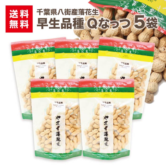 早生落花生 Qなっつ 170g×5袋<br>千葉 八街産 本州送料込 ピーナツ さや煎り おつまみ 名産 旨い落花生 煎りざや さや煎り 父の日お歳暮 お年賀 お中元 母の日 節分 新年 挨拶 ギフト 豆まき 福豆 あす楽 グルメ<br>