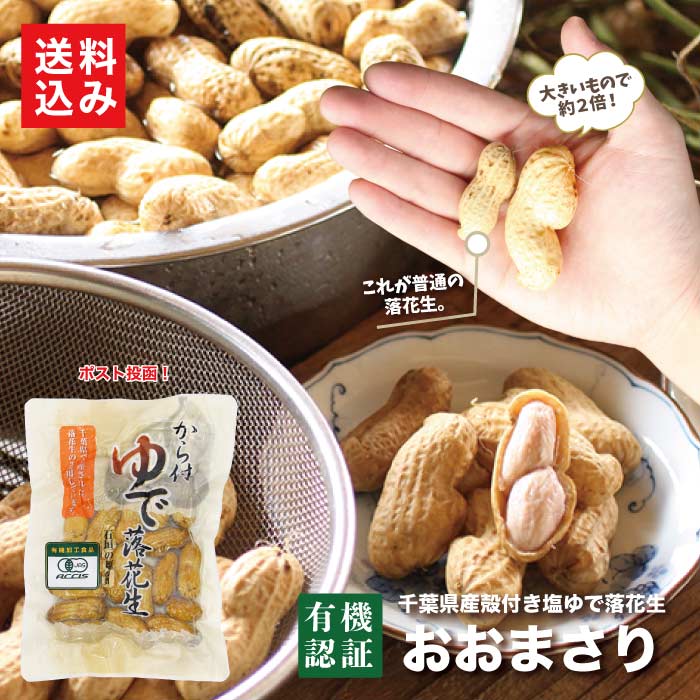 有機から付塩ゆでおおまさり 千葉県産でも希少な有機栽培。収穫後塩茹でに。デカさと食べ応えが人気。Organically grown peanuts of the ・・masari variety, about twice the size of regular peanuts, offering an exceptional texture and satisfying bite!
