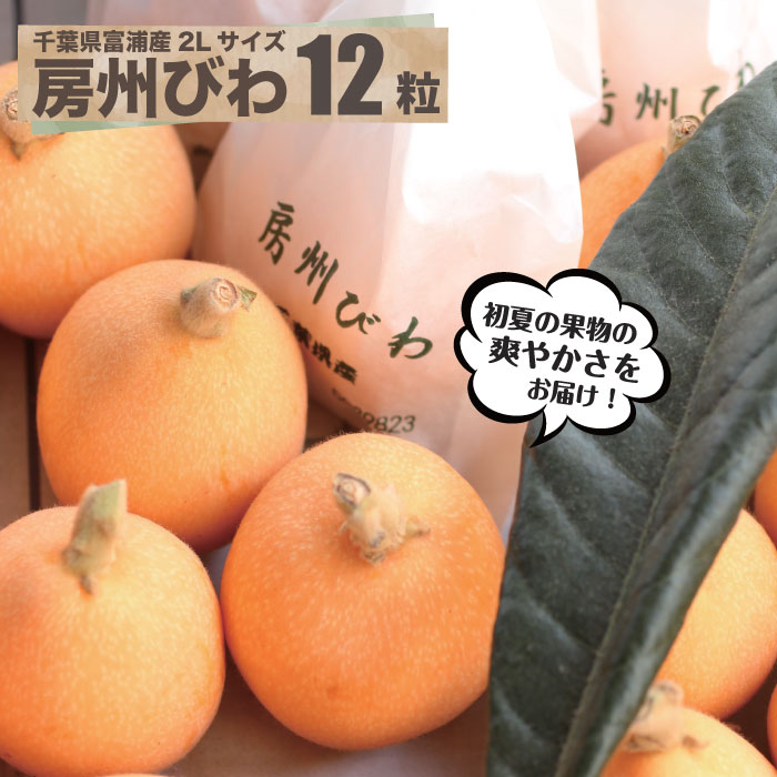 千葉県富浦産　房州びわ2Lサイズ<br>ハウス栽培のびわ出荷開始！<br>南房総 びわ 送料込み お取寄せ 贈答 プレゼント 母の日 お土産 旬 千葉みやげ 父の日 お取り寄せ ギフト 千葉 ご当地 グルメ<br>