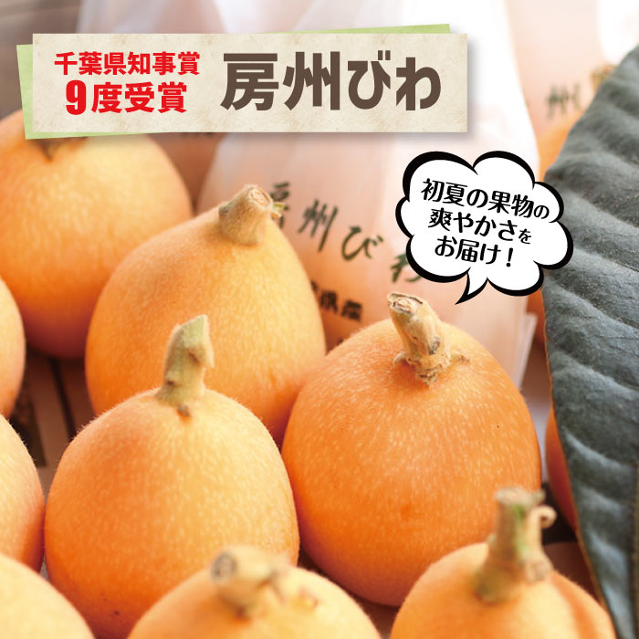 千葉県富浦産 房州びわ箱<br>ハウス栽培のびわ出荷開始！<br>贈り物 送料込み 南房総 びわ 母の日 プレゼント 贈答 旬 果物 千葉みやげ 父の日 父 ご当地 お取り寄せ ギフト 千葉 ご当地 グルメ<br>