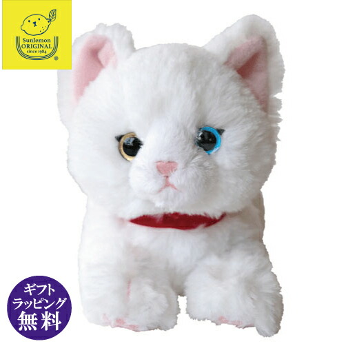 楽天市場】猫のぬいぐるみ ひざねこ S シロネコ （白猫/ネコ