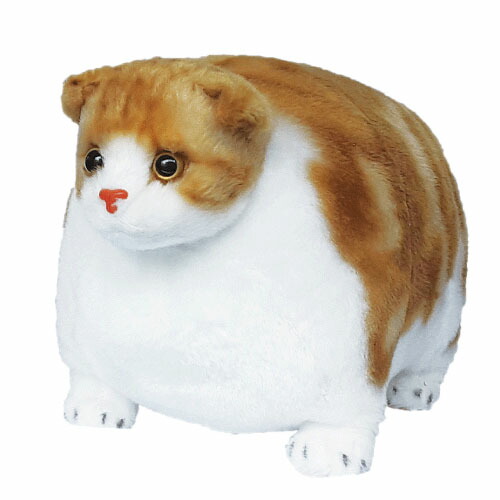 楽天市場】【ぬいぐるみ】 ふとっちぃZooにゃんこ 黒猫/丸い/メタボ