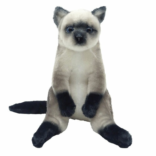 楽天市場】【TY】 ぬいぐるみ 【BEANIE BELLIES】Miso ミソ Mサイズ