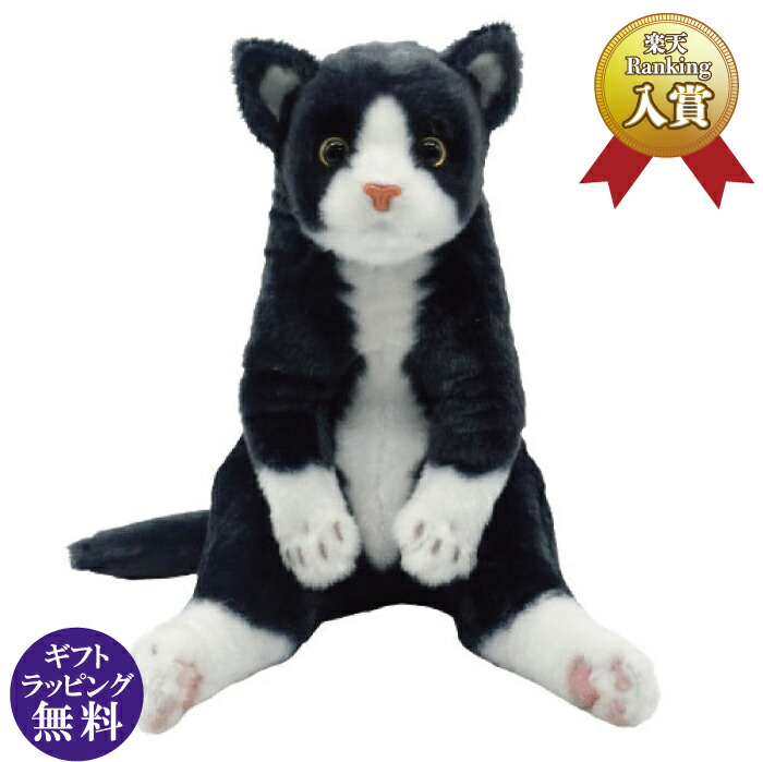 すわっちぃ Zoo にゃんこ スコ座り　ハチワレ　三毛猫　サバトラ　サビ猫 すわっちぃ Zoo にゃんこ スコ座り ハチワレ 三毛猫 サバトラ