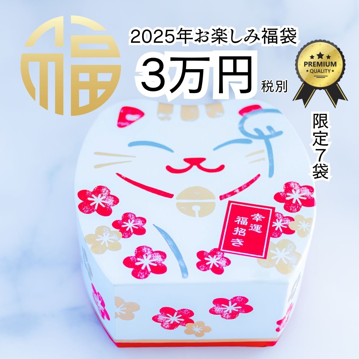 ＼ 2025 福袋 3万円(税抜) ／【 45000円相当??お一人1点限り 】モリオン 交換不要 盛り塩 アメジストドーム 天然石 パワーストーン インテリア 風水グッズ ギフト プレゼント 開運 開運グッズ 強運 八角盛り塩器 ルチルクオーツブレスレット オーガニックコットン 魔除け