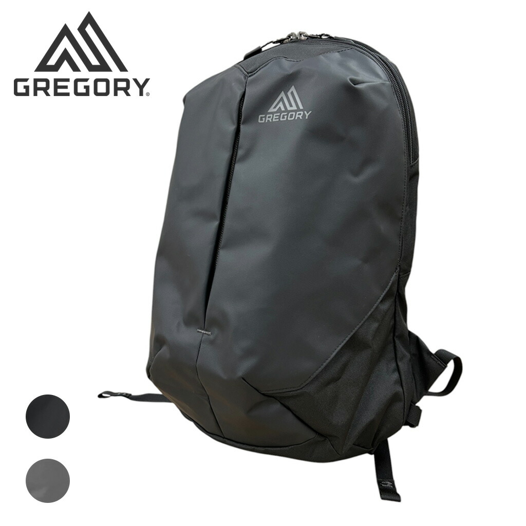 グレゴリー　リュック　デイバッグ FREAK'S STORE デイバック リュック 限定展開 GREGORY