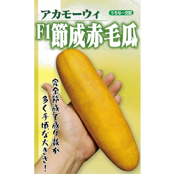楽天市場】瓜(小〜中玉向き品種) 種 【沖縄冬瓜 小袋】 : フタバ