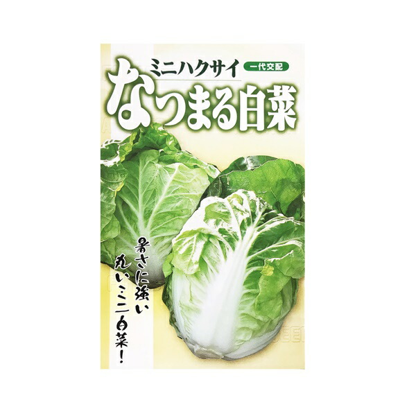 楽天市場】葉野菜(若獲りカイラン) 種 【ベジグリーン 小袋】 : フタバ種苗ネットショップ