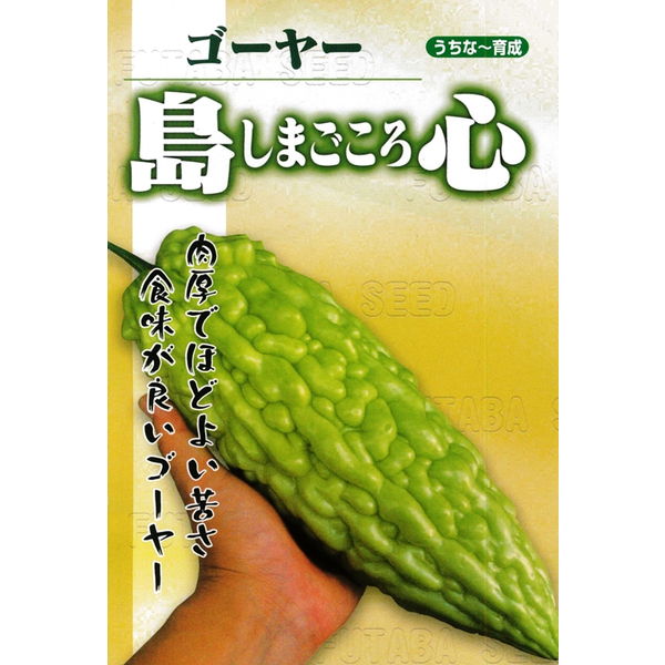 お得用　沖縄県産　ハウスへちまEM栽培10kg お得用 沖縄県産 へちまEM栽培10kg