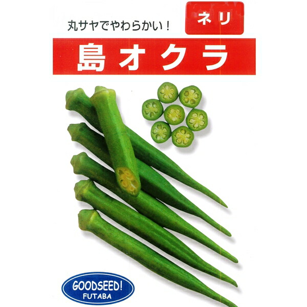 オクラ種15粒　冬瓜タネ15粒　トウガン　自家採種　収穫夏以降　農薬不使用 楽天市場】瓜(小〜中玉向き品種) 種 【沖縄冬瓜 小袋】 : フタバ