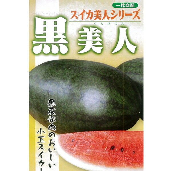 スイカ種さん Amazon | ナント種苗 3XサンバSP(すいか) | 野菜