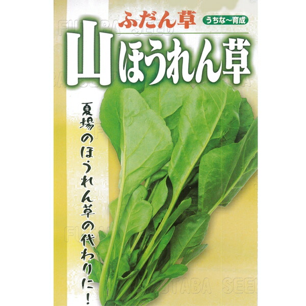 楽天市場】葉野菜(若獲りカイラン) 種 【ベジグリーン 小袋】 : フタバ種苗ネットショップ